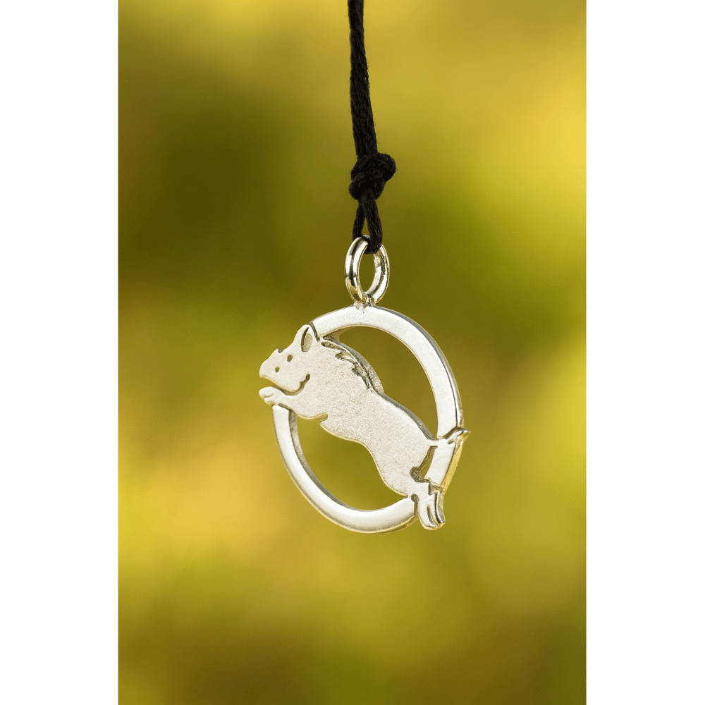 Pendentif - Sanglier APER dans son cercle